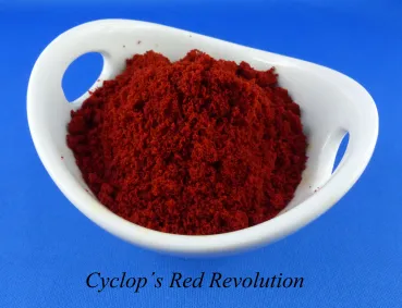 Cyclops RED Revolution als feines Futter in einer Schale, Zierfischfutter mit Farbzusatz rot